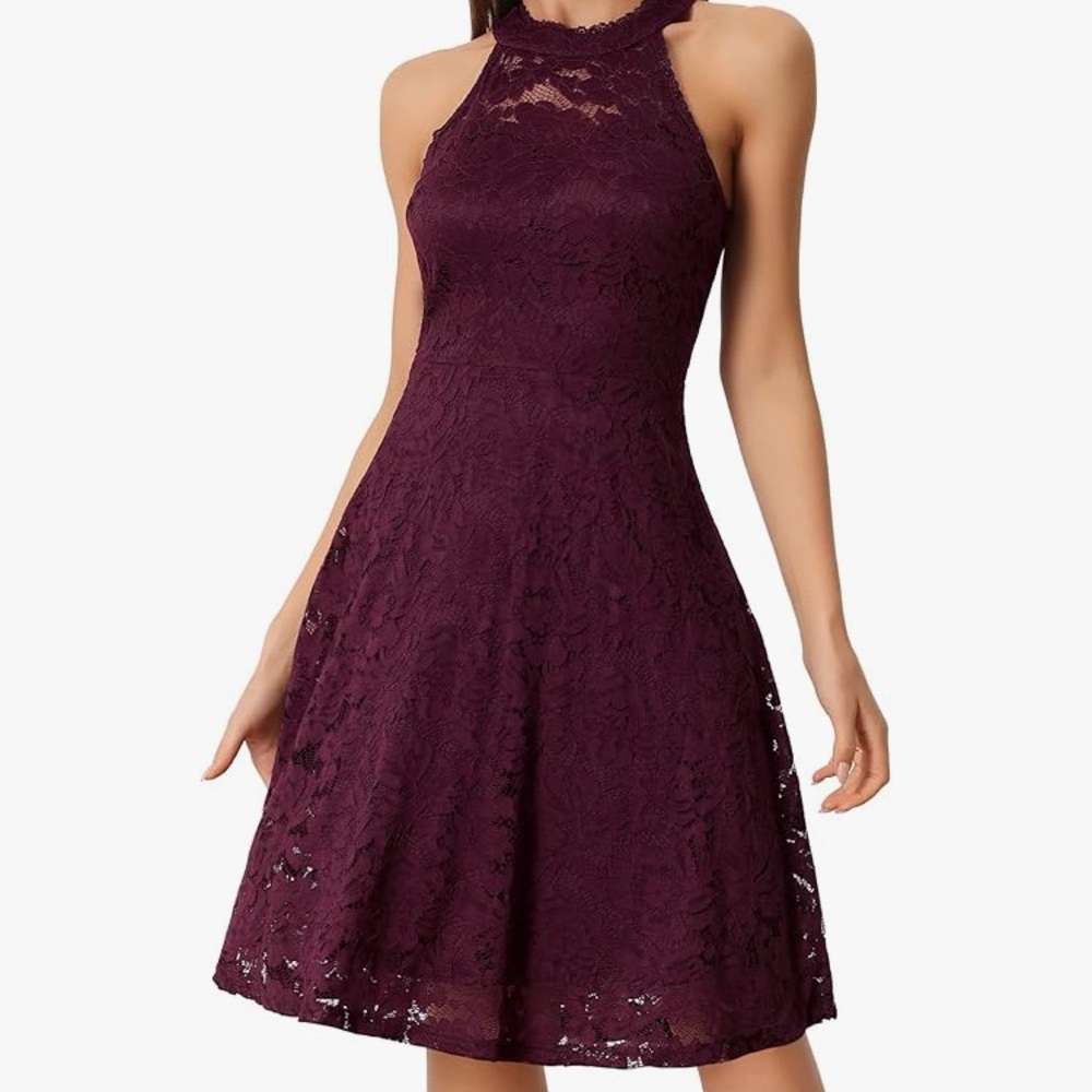 Allegra K Women's Dark Purple Lace Mini Dress